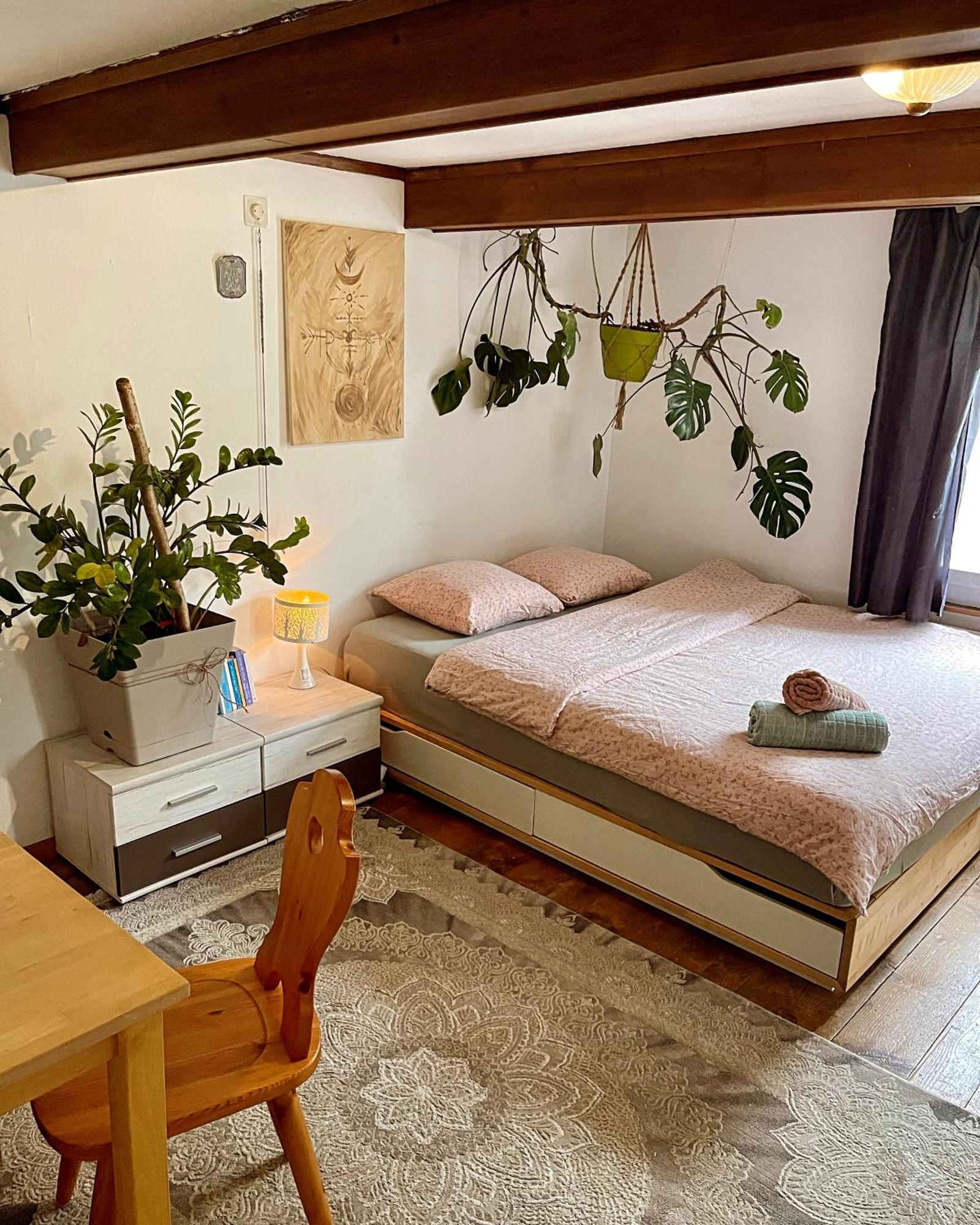 Cozy Room In An Old Farmhouse Near Vaduz Sevelen Exterior photo